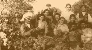 Mores, vendemmia 1910